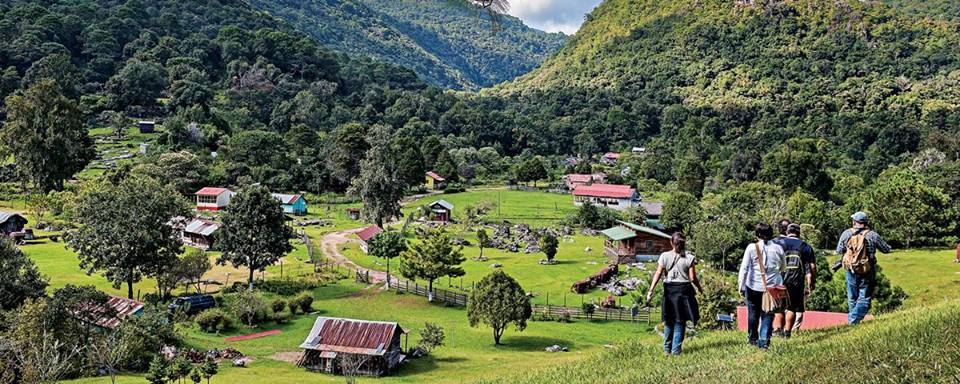 Grupo de visitantes caminando hacia el valle de Alta Cima en la Reserva de la Biosfera El Cielo